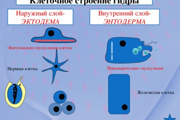 Как зайти на площадку кракен