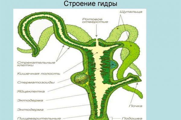 Кракен вход ссылка