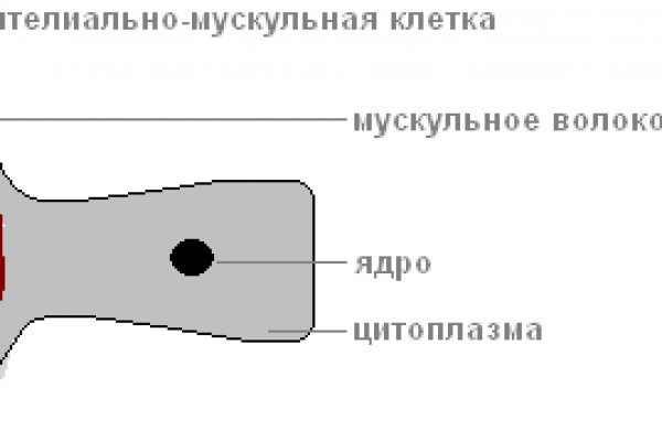 Кракен тор ссылка онион